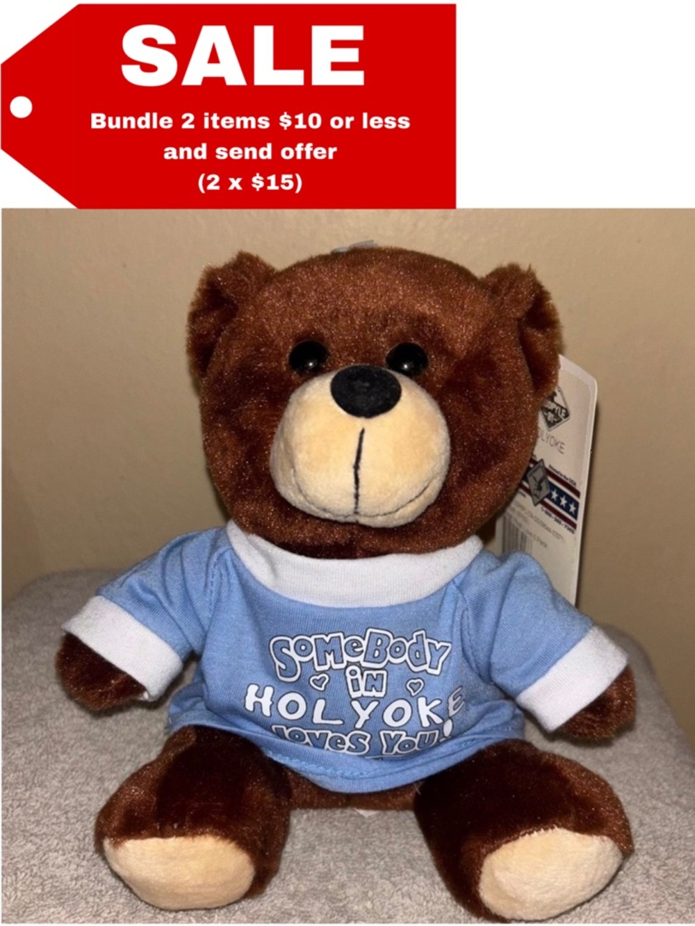 Ohiopyle Prints Holyoke Brown Teddy Bear Plush – "Somebody in Holyoke Loves You”